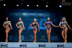 WELLNESS +163